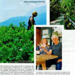 Oινογνωσία στην Σάμο0002